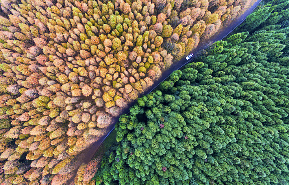 南川文旅在澳大利亚悉尼唱响“金佛山+春夏秋冬”四季歌