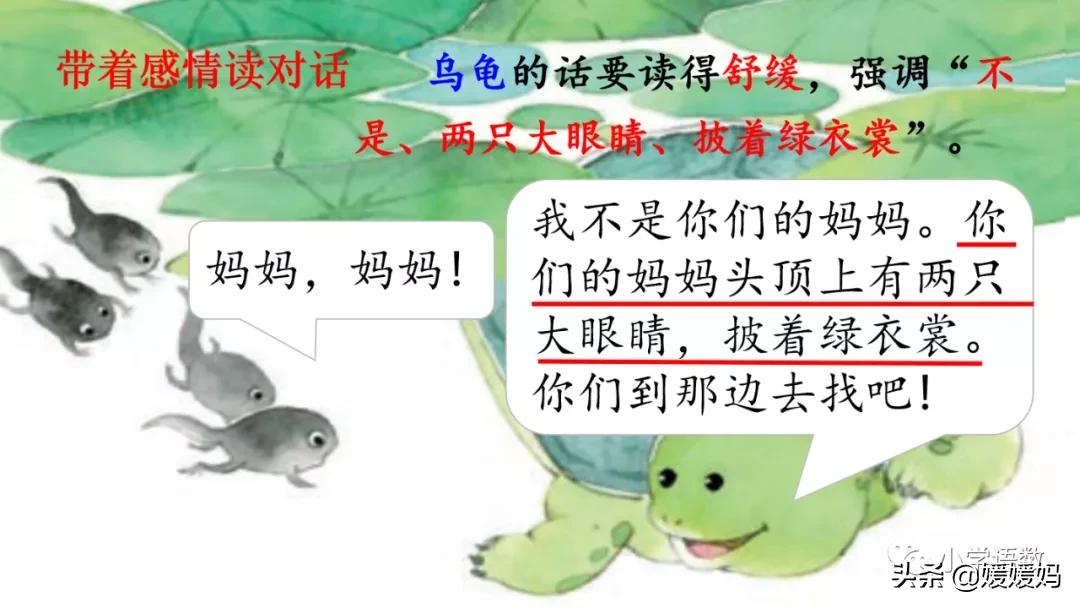 二年级上册小蝌蚪找妈妈听写词语,朗读二年级上册语文小蝌蚪找妈妈
