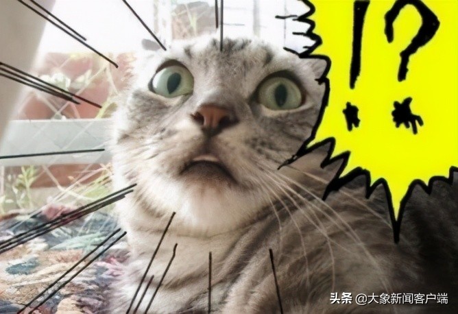 中国十大野鸡大学名单,中国四大野鸡大学