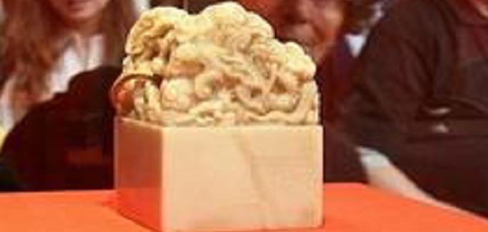 关于公司公章使用的规定,关于公司公章的法律