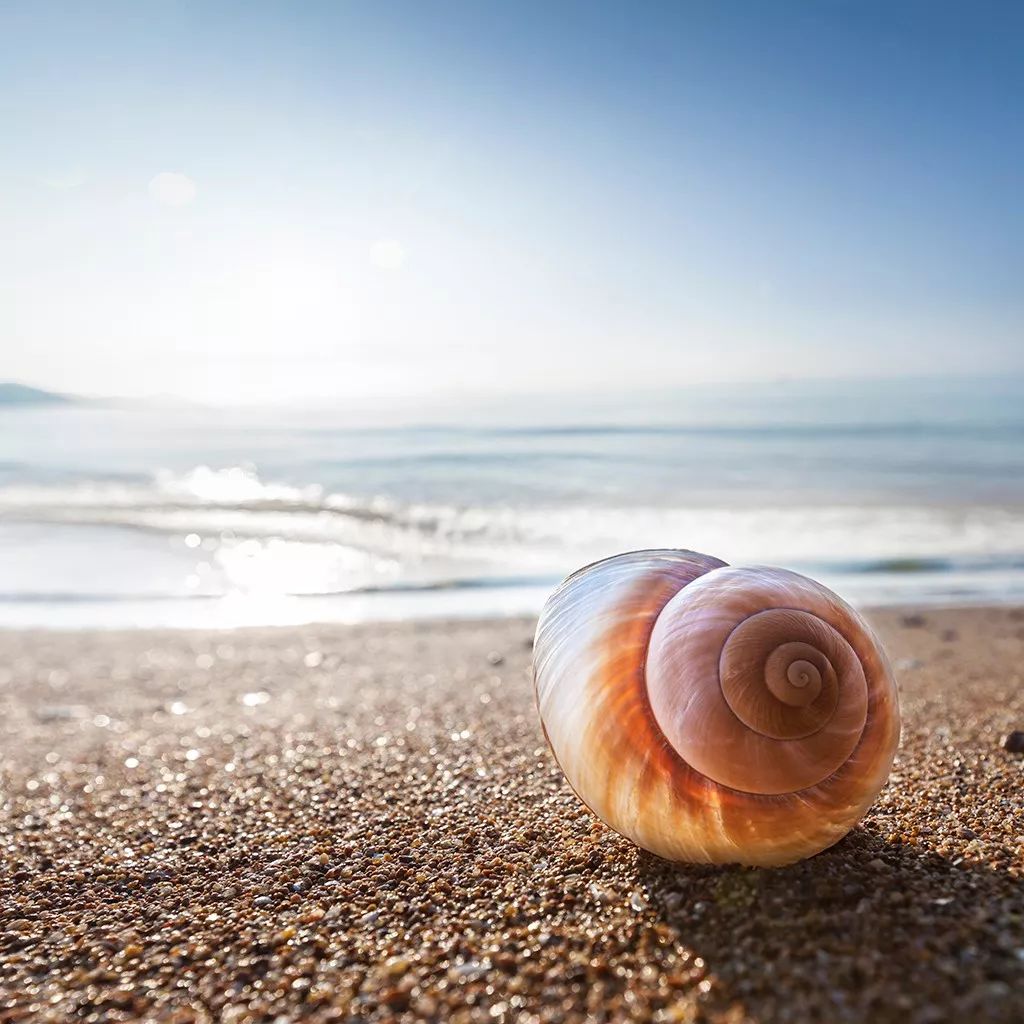 顶级摄影师年收入,人像摄影师年收入