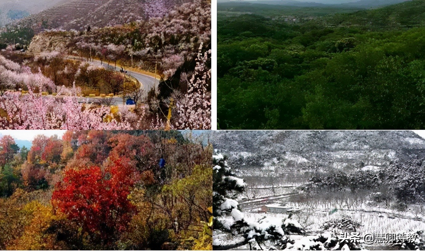 学霸笔记四年级知识点,四上语文第一单元知识点