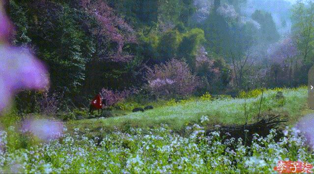 菜吧：又火了！李子柒“鲜花宴”再次火爆全网！数千万网友看酸了