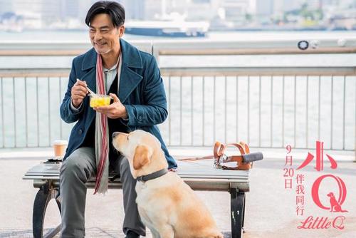 任达华小q电影粤语,任达华电影小q片段