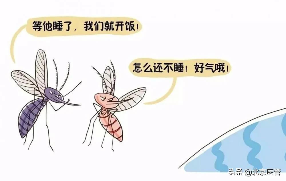 炎炎夏日蚊子为什么老叮咬你呢,炎炎夏日蚊子为什么爱咬你