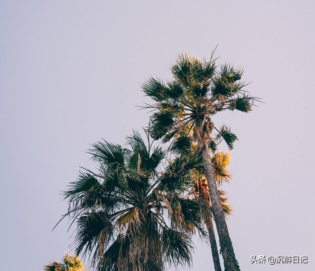 儿子用他的马大哈,来了一次实力坑爹