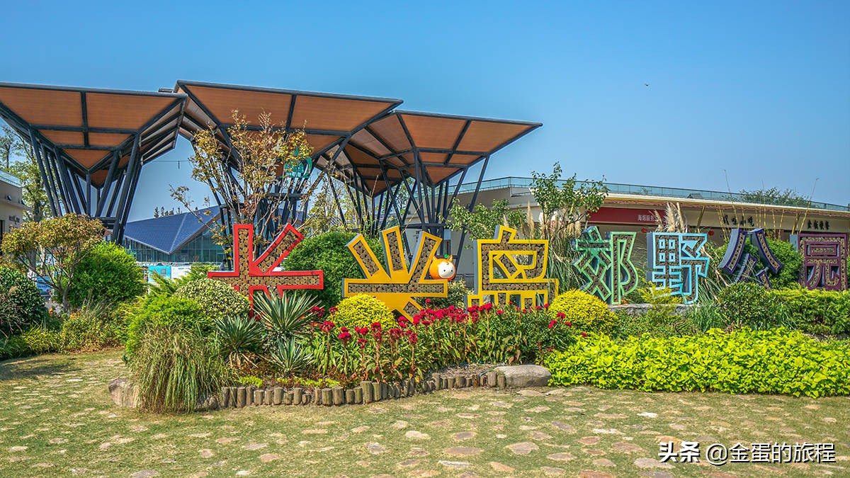 不出上海有哪些地方旅游,不出上海玩的景点排行榜