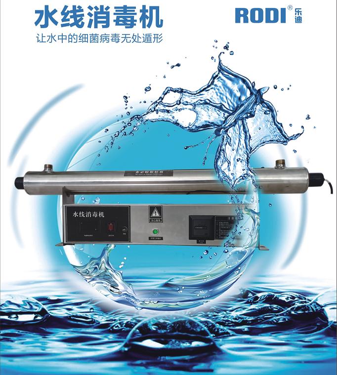 母猪夏季饲养管理要点及饮水消毒的必要性