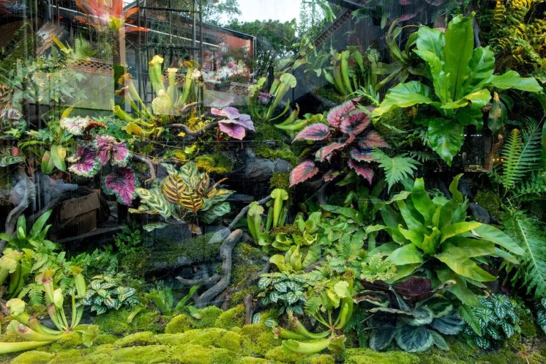 “酒鬼少女”特邀，900公里外的成都网红酒馆终于空降昆明