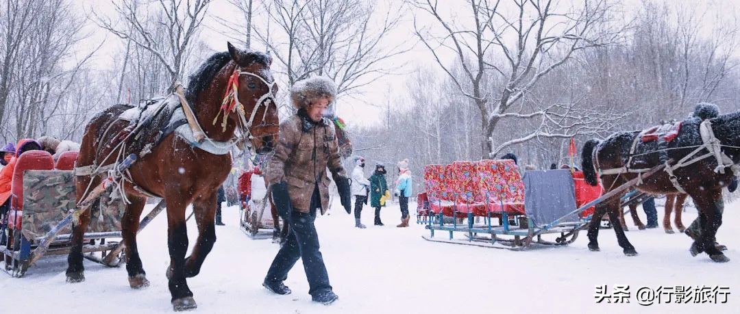东北人是如何评价日本人的,作为东北人你怎么评价哈尔滨