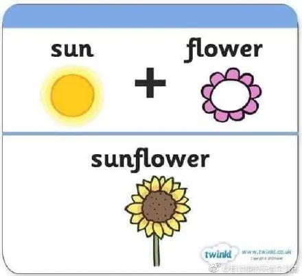 cat是什么词,cat是猫的意思吗