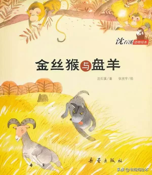 中华文化博大精深处处蕴含着,中国传统文化故事绘本10册图文