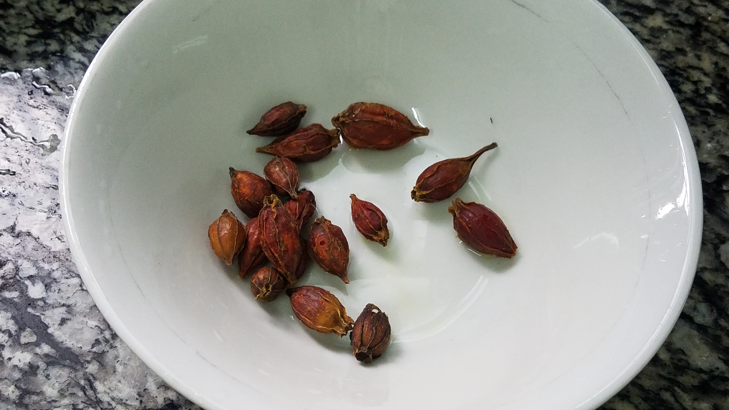 广东名菜盐焗鸡超级简单,正宗广东盐焗鸡的做法又黄又脆