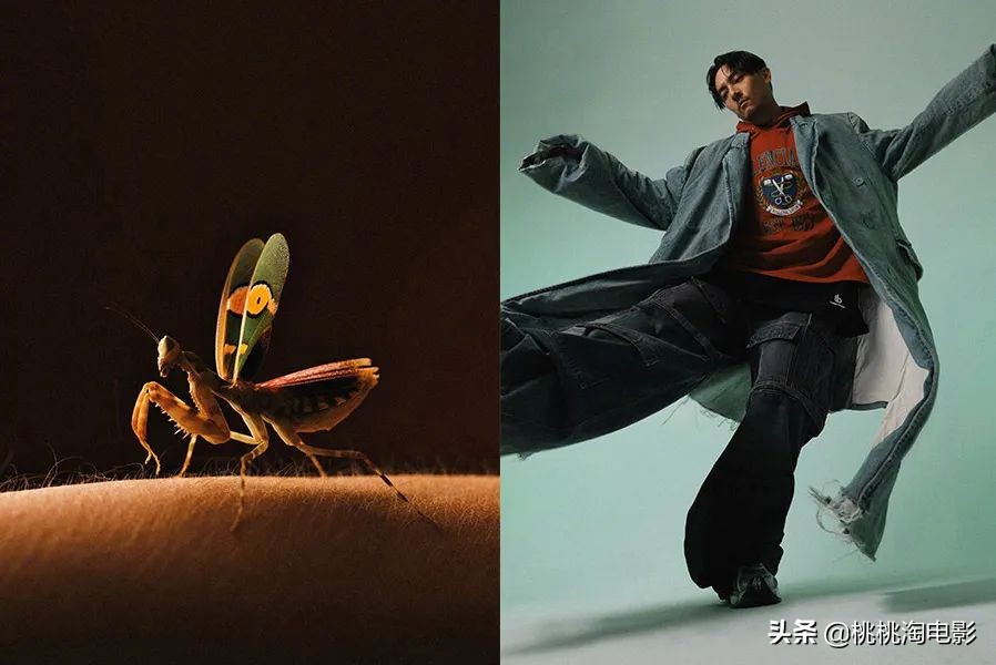 张震新片沙丘,张震图片写真