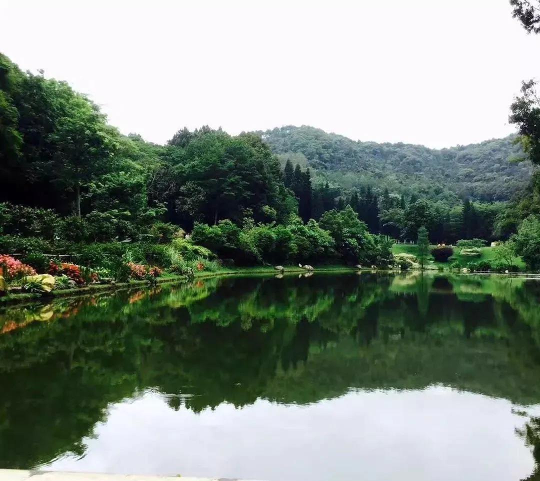 深圳中学牛娃,深圳牛蛙聚集地