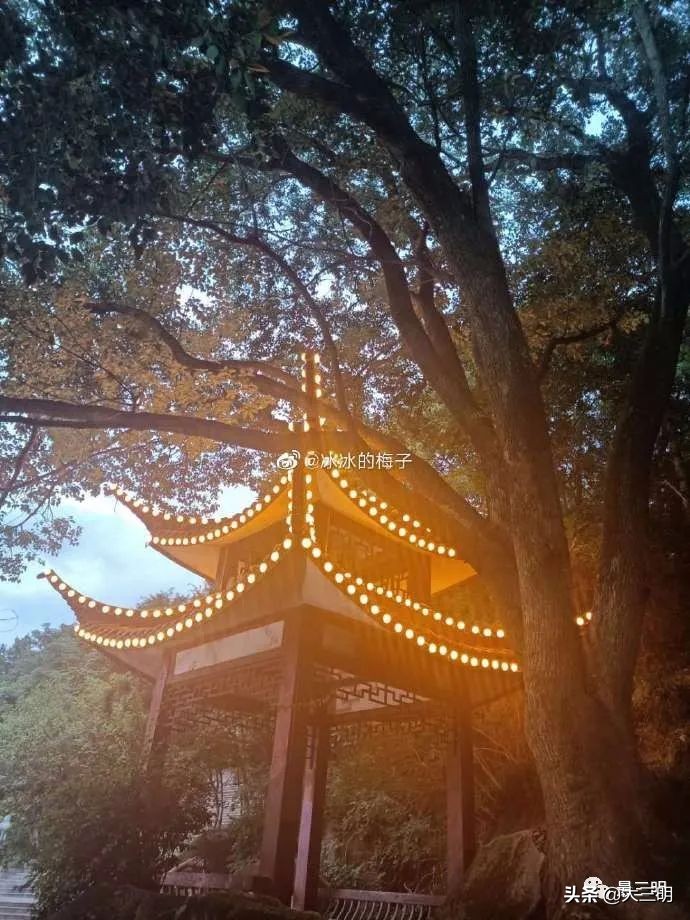 三明麒麟山公园鸟瞰,麒麟山公园三明门票