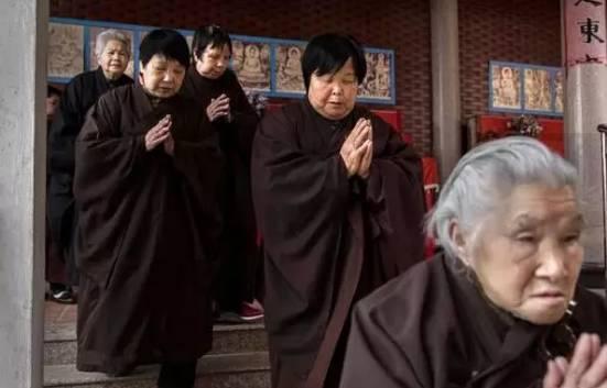 照禅老和尚圆寂,照禅法师