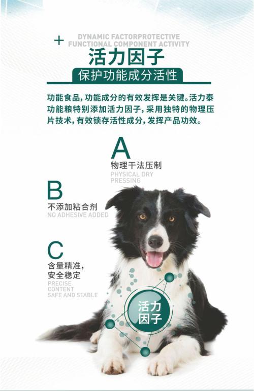 雷米高活力泰狗粮怎么样,雷米高活力泰猫粮是安全粮吗