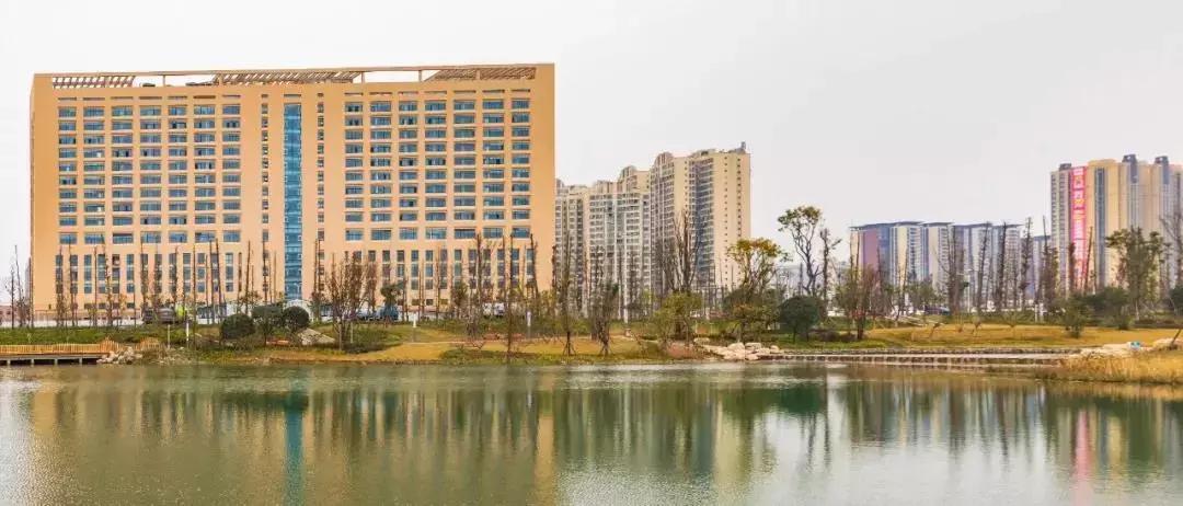 成都郫都区人民医院新院区,郫都区人民医院医疗水平