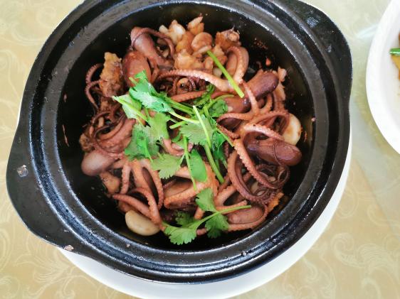 廉江龙营钓鱼视频,湛江市遂溪草潭码头钓鱼视频