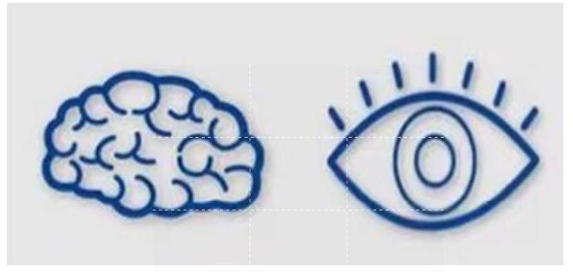 婴幼儿脑发育的八种营养,儿童生长发育补dha