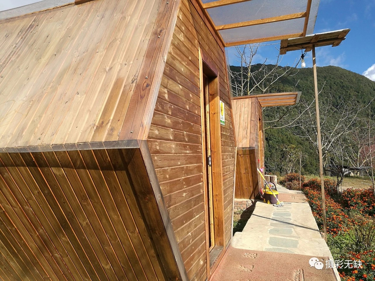 2023腾冲看银杏最佳时间,腾冲看银杏树旅游攻略