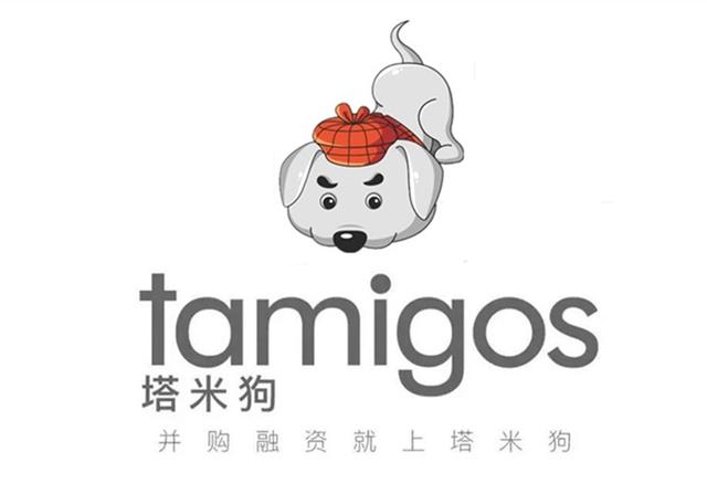 塔米股票融资,十大资本并购模式