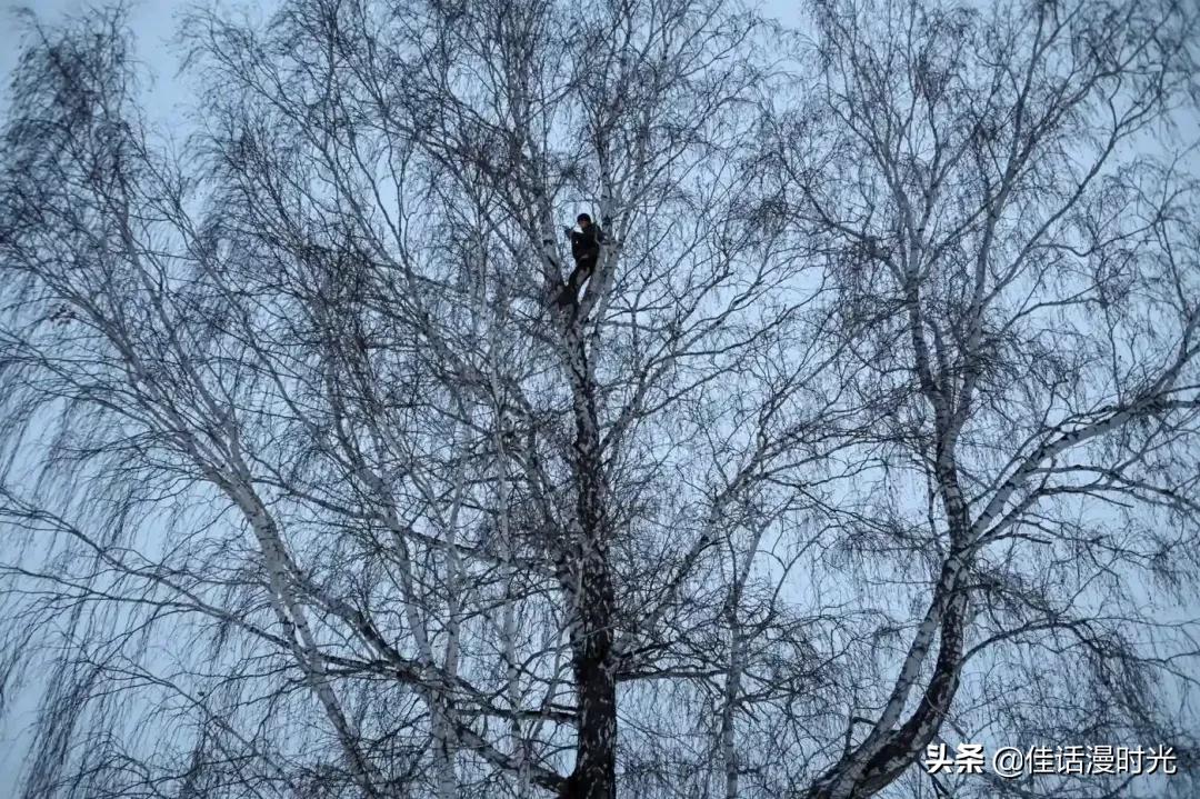 2022全球华人摄影大赛,华人摄影大赛