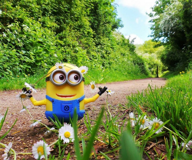 美美的壁纸图片,漂亮唯美图片壁纸