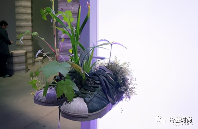 国内鞋圈怎么玩,中国球鞋圈