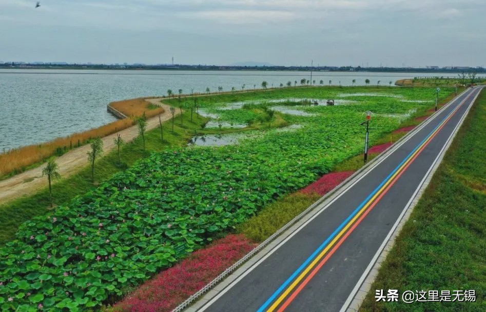 无锡最美网红步道坡度,无锡网红步道有哪些