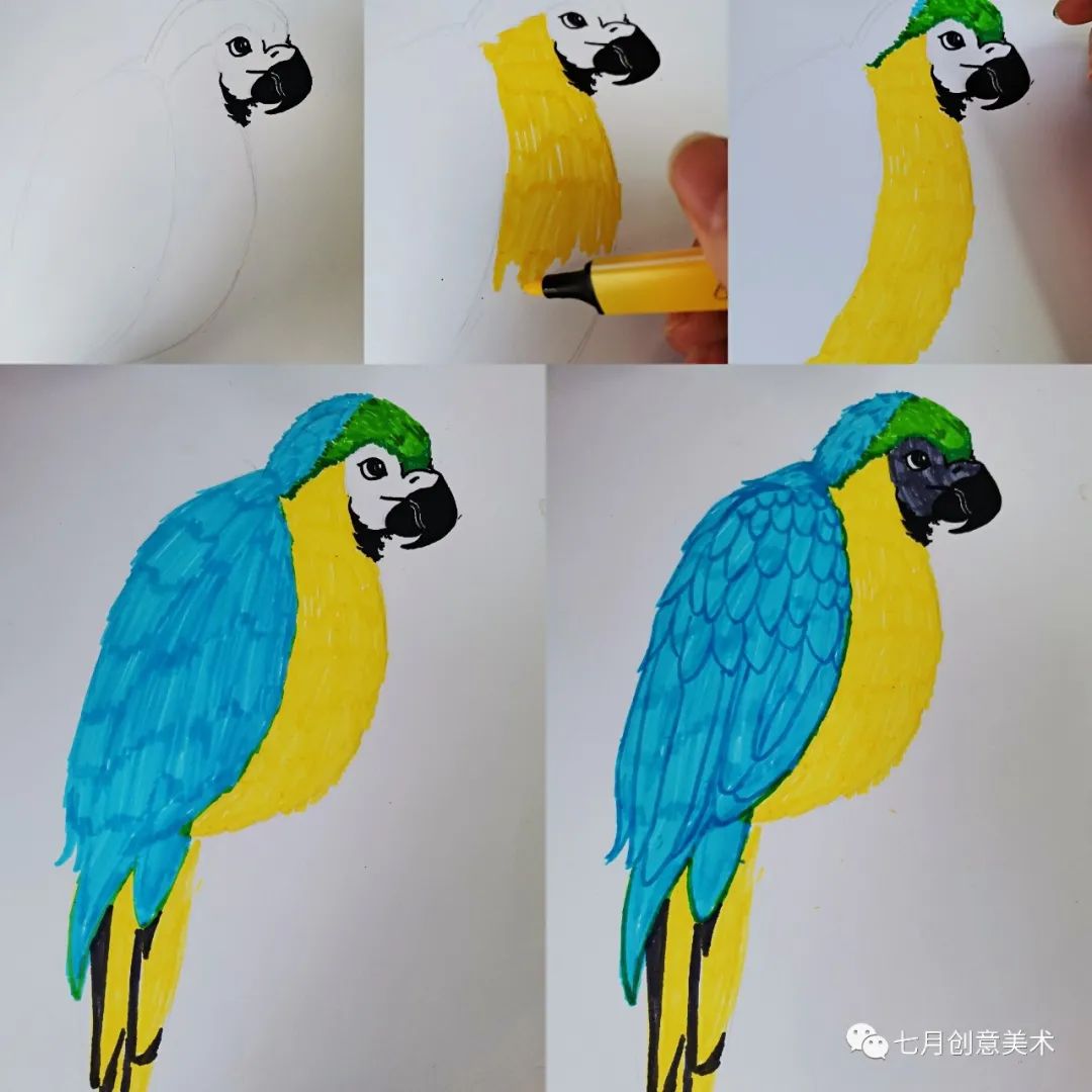 鹦鹉简笔画绘画小技巧,绘画鹦鹉