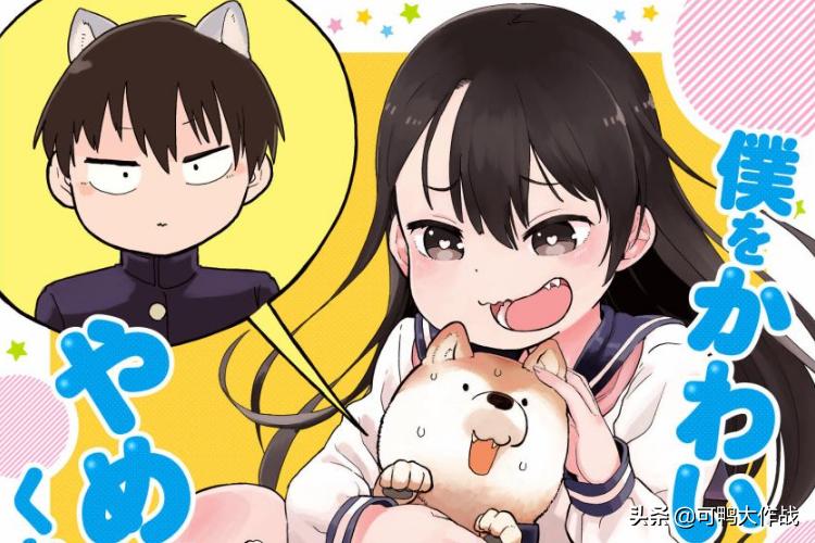 阴阳怪气女主遇上狼族之耻男主，无形回怼很致命，这种搭配太棒