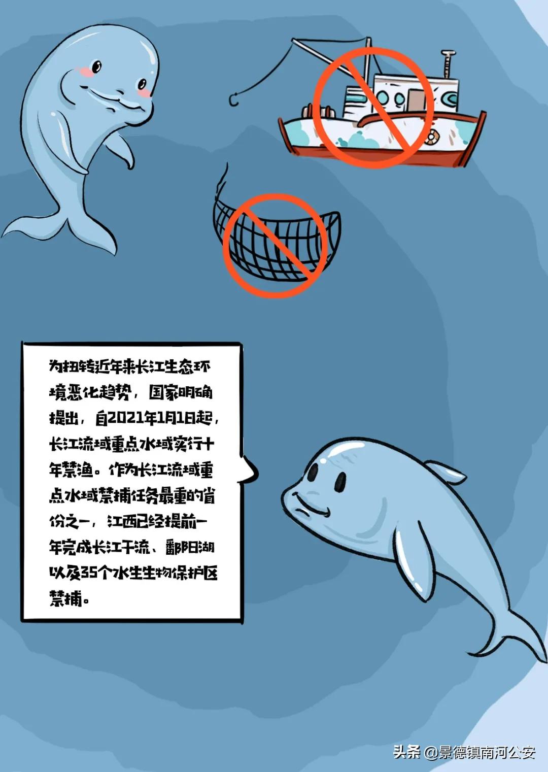 赣江一江两岸视频,赣州赣江最新视频