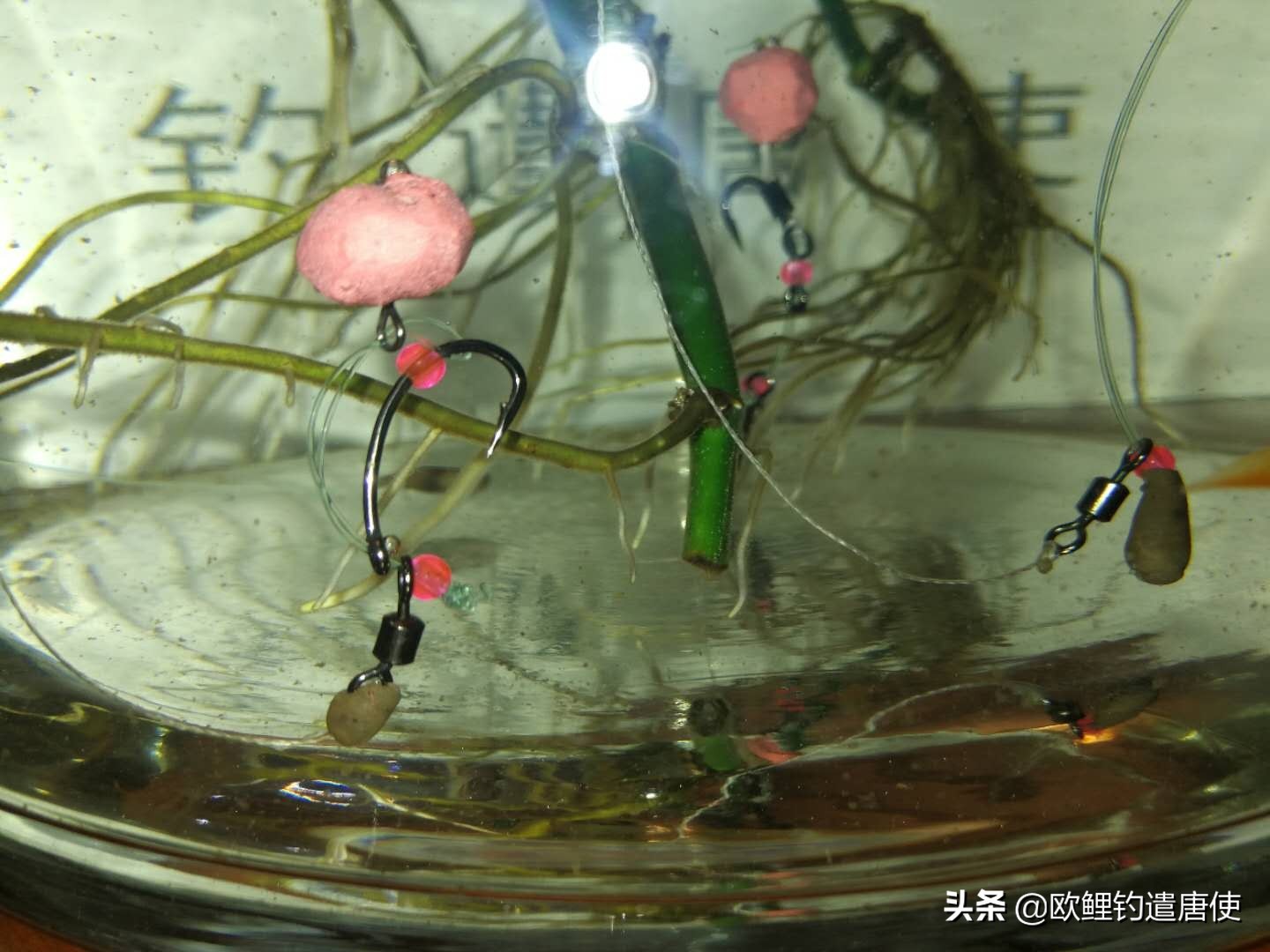 钓鱼为何都是小鱼,钓鱼不咬钩的多种原因和应对技巧