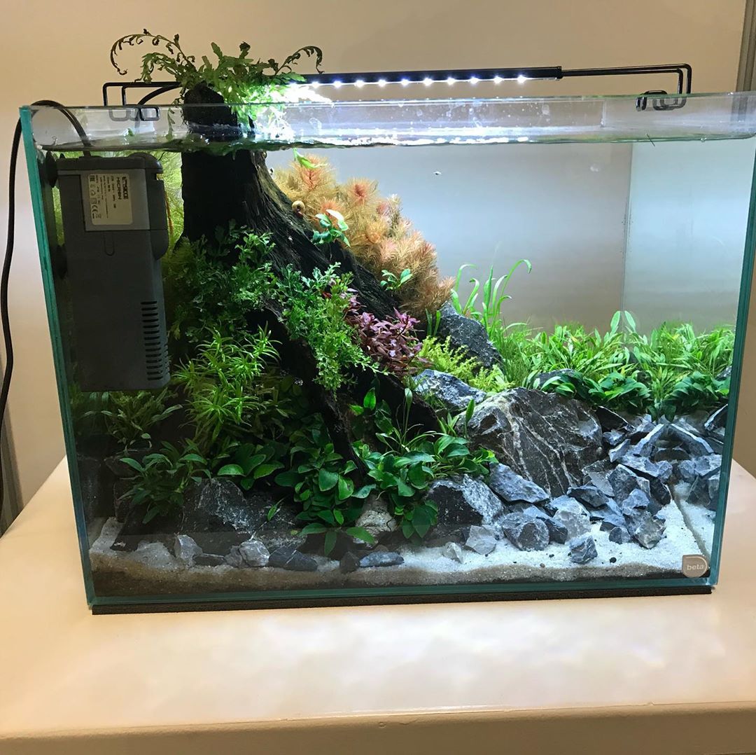 关于过滤的知识,过滤的方法和注意事项