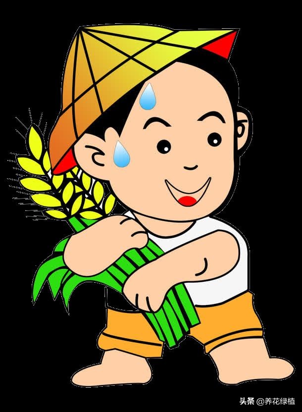 2021年是寡年，俗话：“寡年不见春，地收人不收”，什么意思