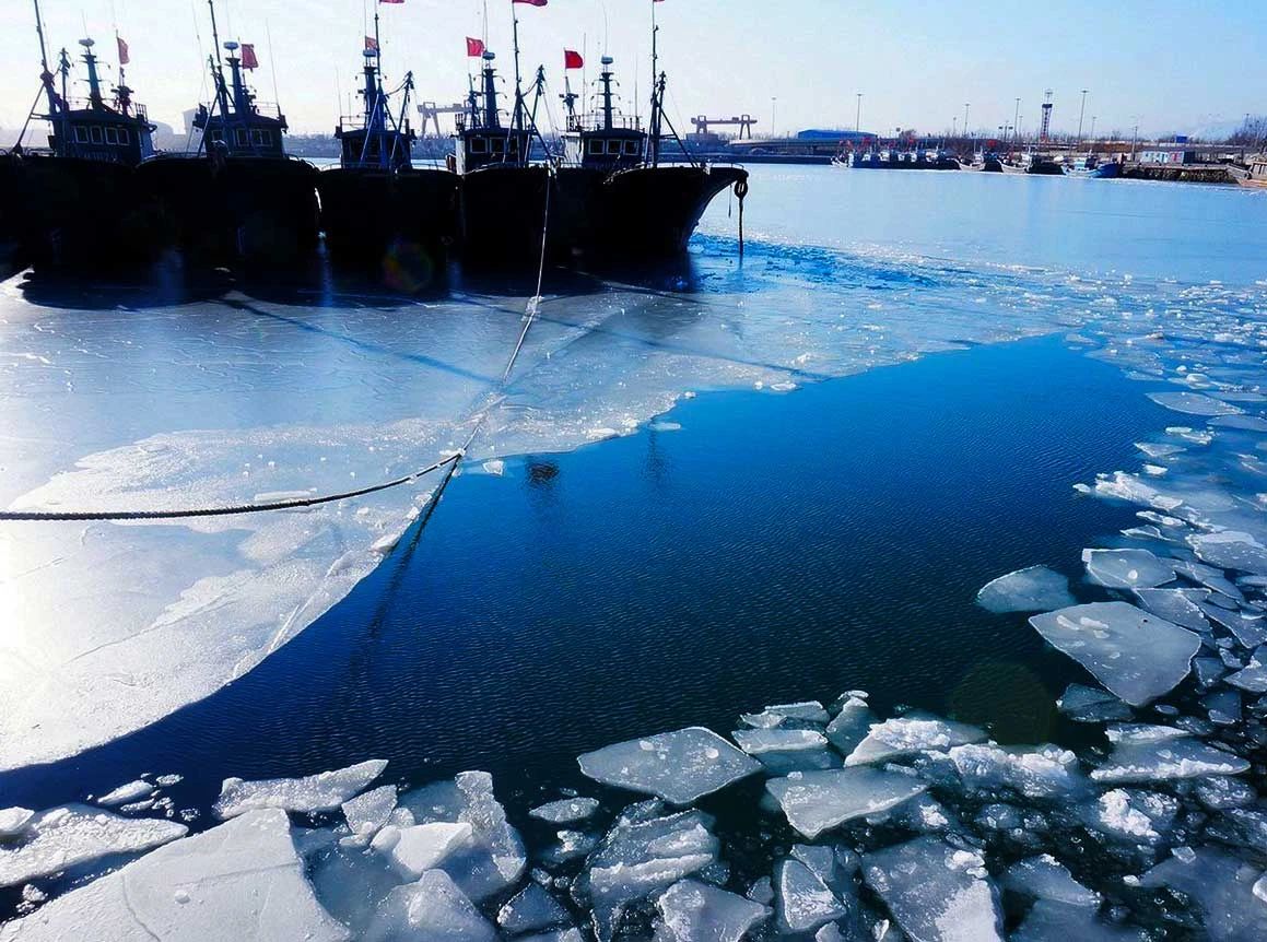 冬季的庭院景观,美丽如画的自然景观让人心旷神怡