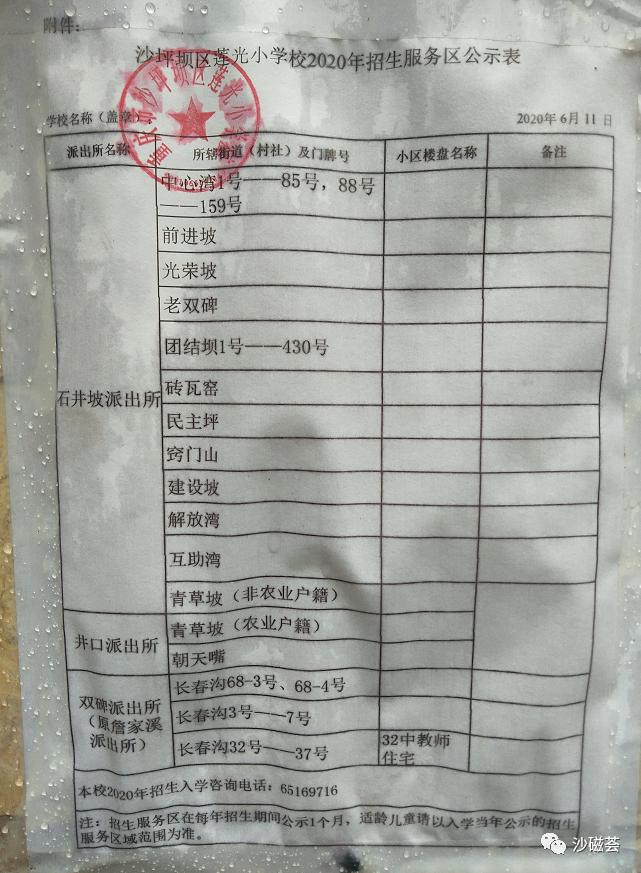重庆沙坪坝区5朵金花小学,重庆公认最好的五个小学