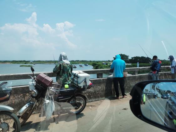 廉江龙营钓鱼视频,湛江市遂溪草潭码头钓鱼视频