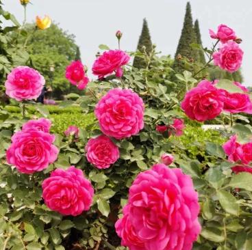 【FENG爆】5·19中国旅游日——*情纵**丰台，感受无限美景！