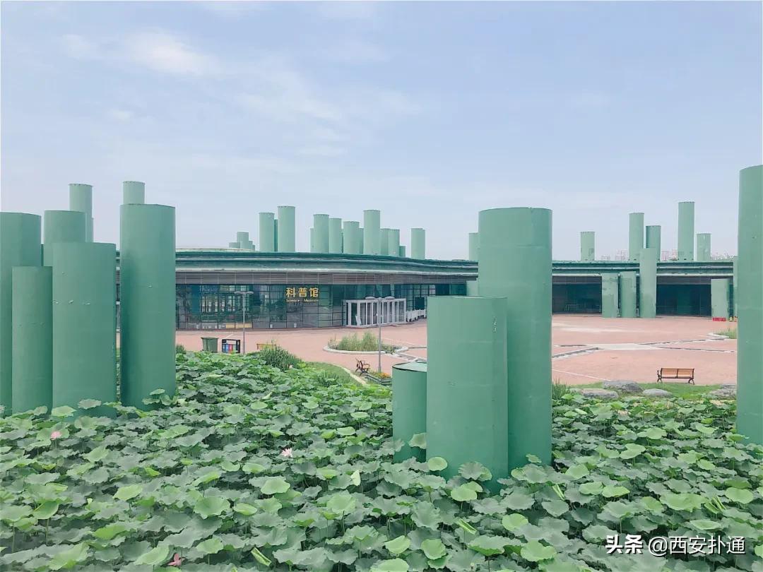 浐灞国家湿地公园最美地方,浐灞湿地公园有啥好玩的