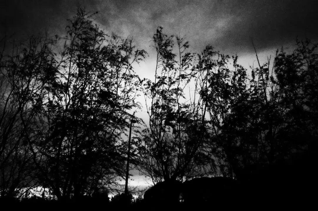 字节跳动的lark属于哪个部门,关于字节跳动的群名