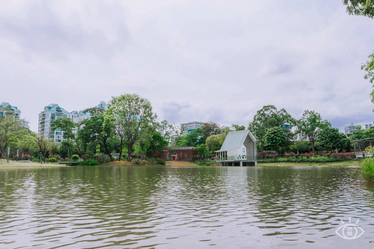 深圳3号线有哪些可以玩的,深圳7号线攻略