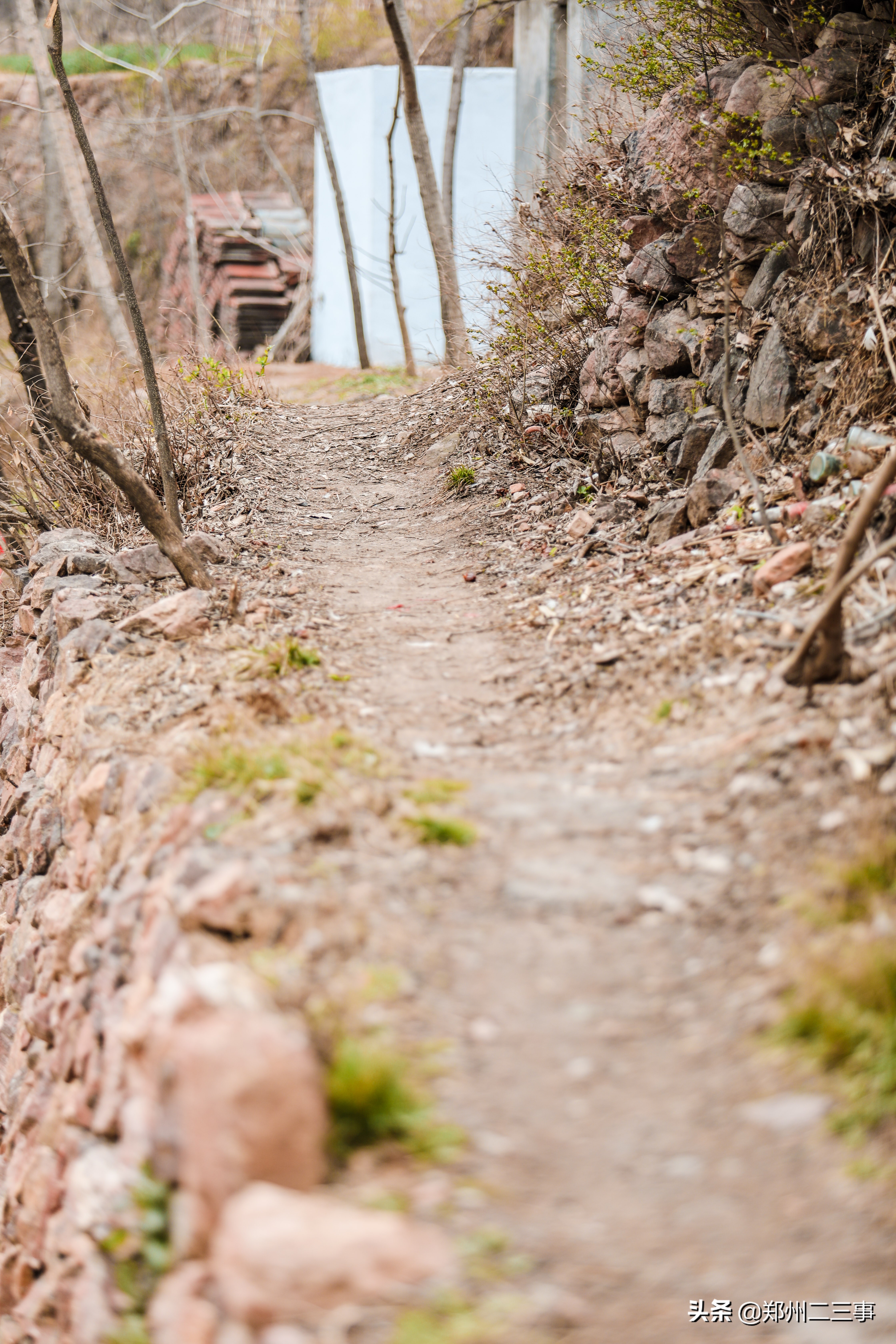 郑州惠济区免费遛娃好去处植物园,郑州遛娃踏青好去处