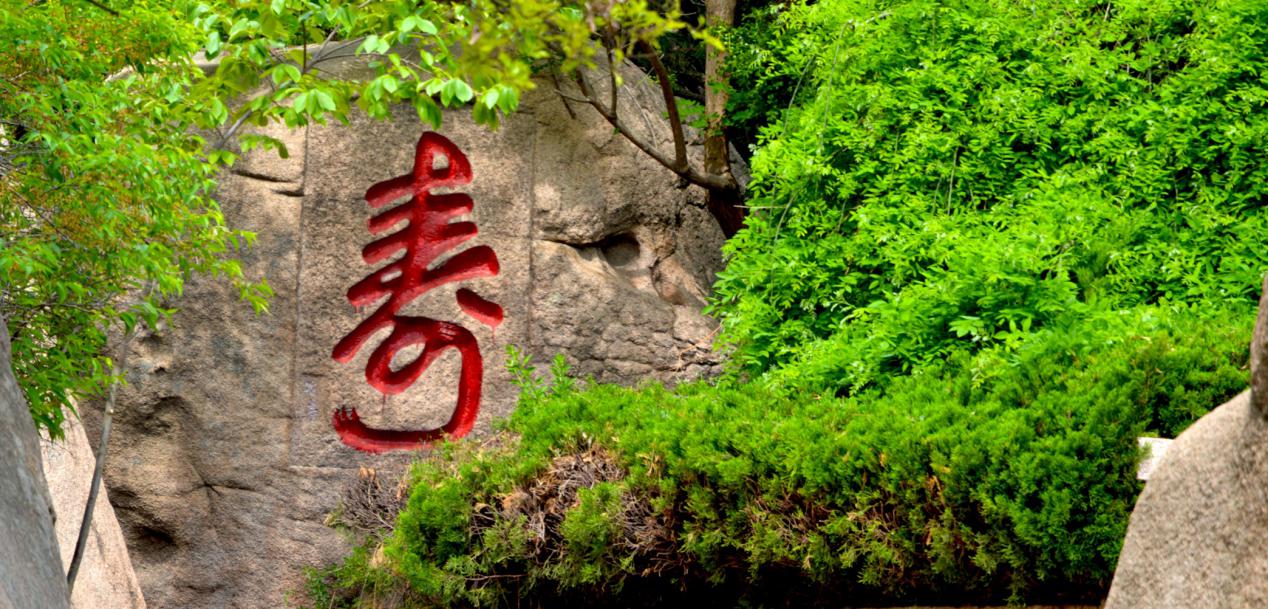 中国茶韵品牌,中国茶韵之西湖龙井茶