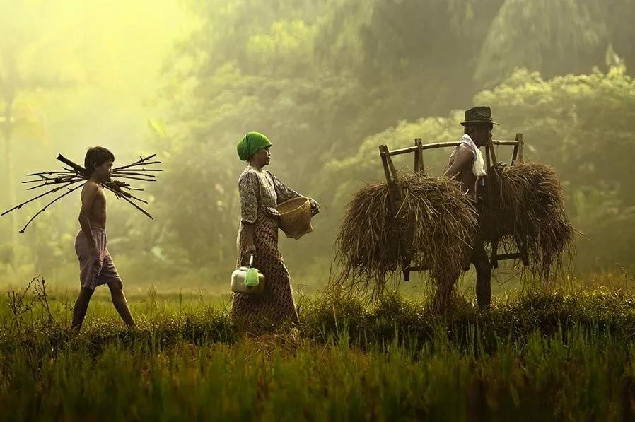 八零后农村姑娘在外地,80后农村姑娘远嫁