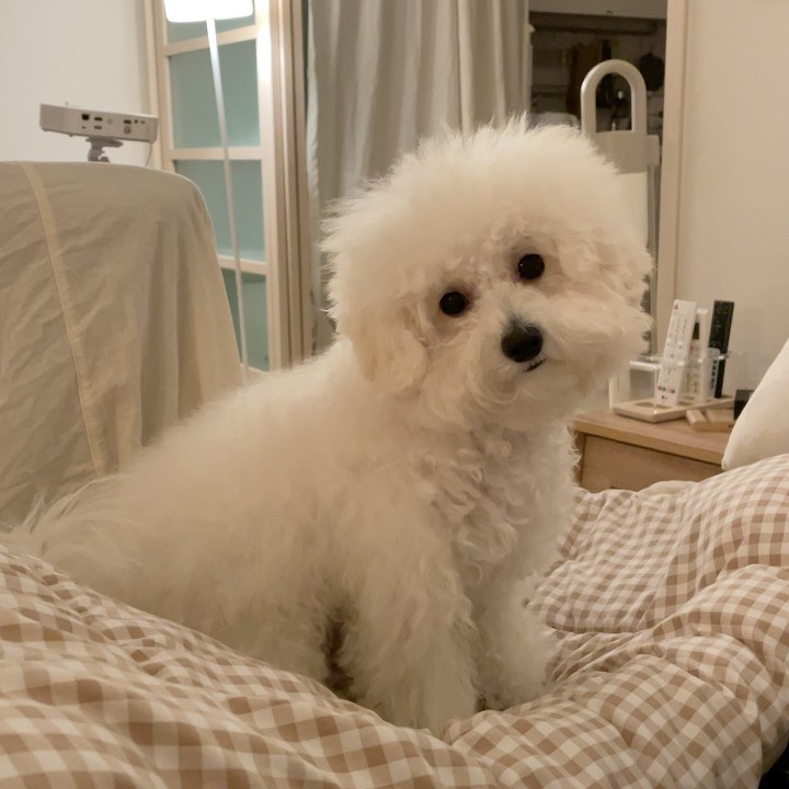 韩国女孩精致生活在乡下,韩国女人精致生活