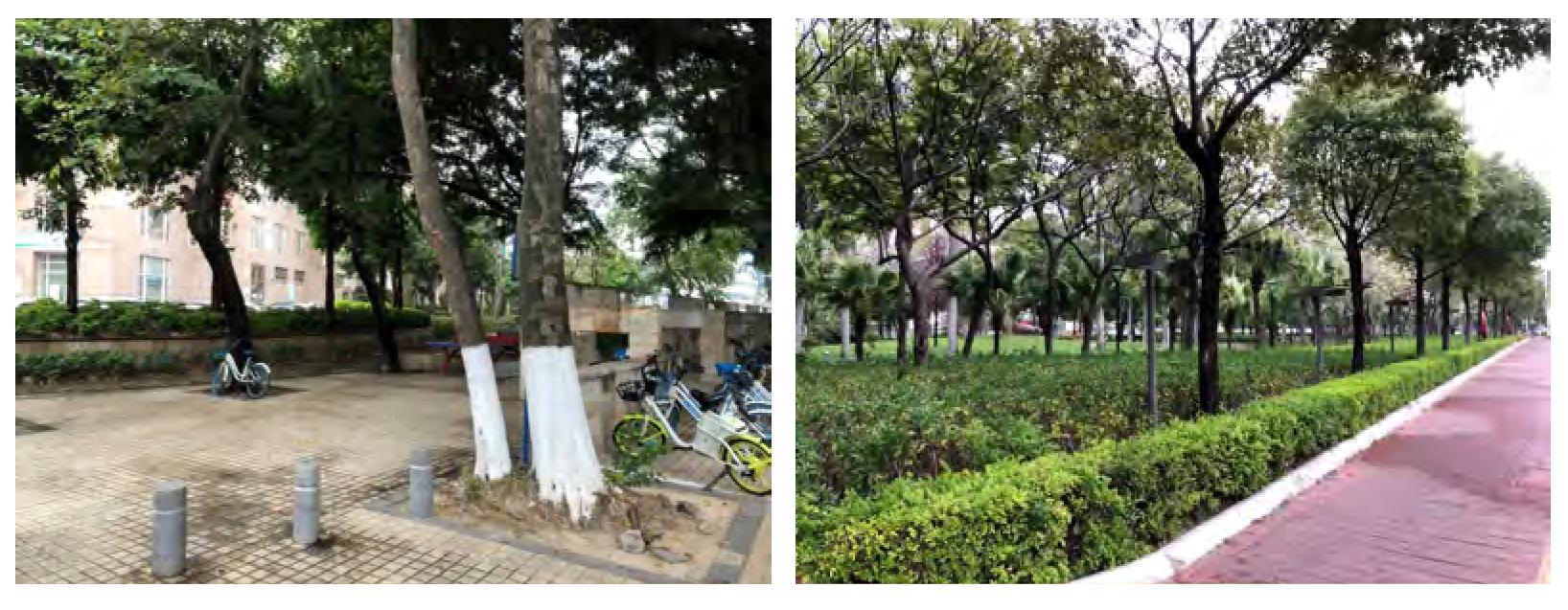 汕头金砂东路改线规划公示,汕头市最新改造规划图