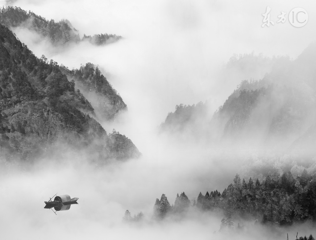 小说父亲被害老婆成植物人,父亲离奇被害女子悲痛不已